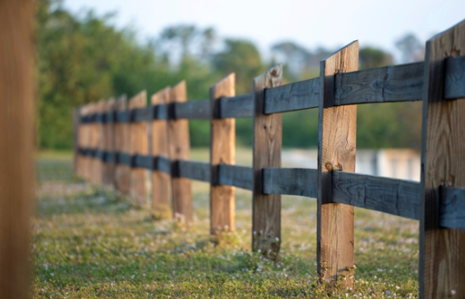 How to Choose the Best Timber Fence for Your Home