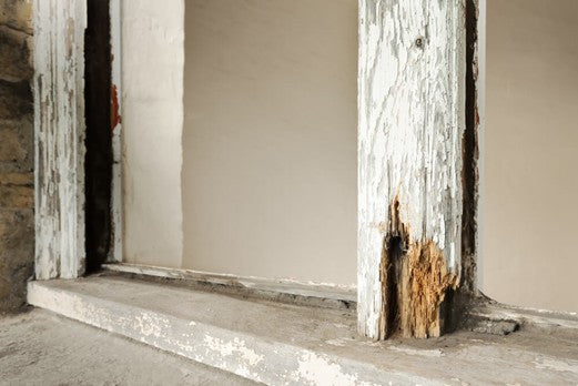 How to Stop Timber Rot in Outdoor Structures